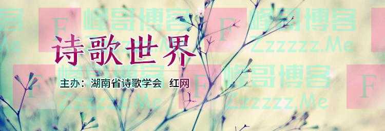 诗歌世界丨李亚雄：冬夜，星月湖