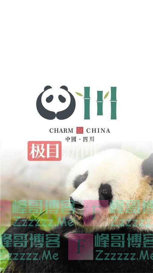 设计师为多个省市设计logo:“四川”自己最满意,“浙江”获官方点赞