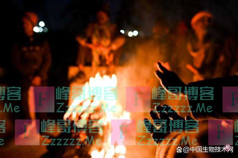 路有冻死骨!印度首都出现异常寒冷天气,约176人被冻死