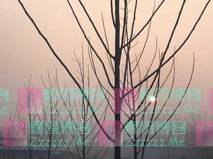 深冬的早晨
