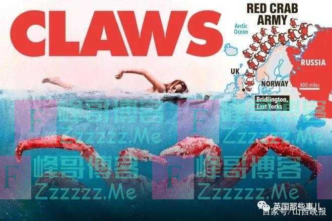 俄罗斯巨型帝王蟹忽然入侵英国渔民有喜有忧：要发财了又有点害怕