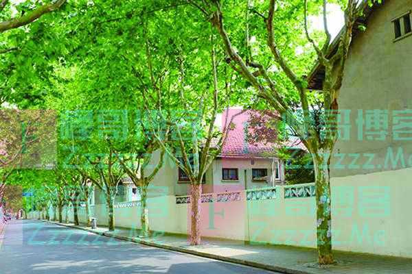 家住复旦“淞庄”