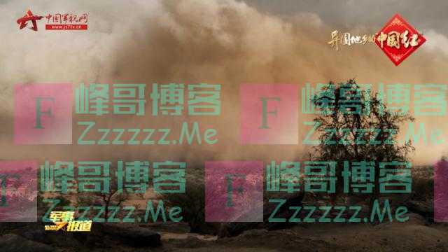 在停火线上守望和平!走近在撒哈拉沙漠执行任务的中国军人