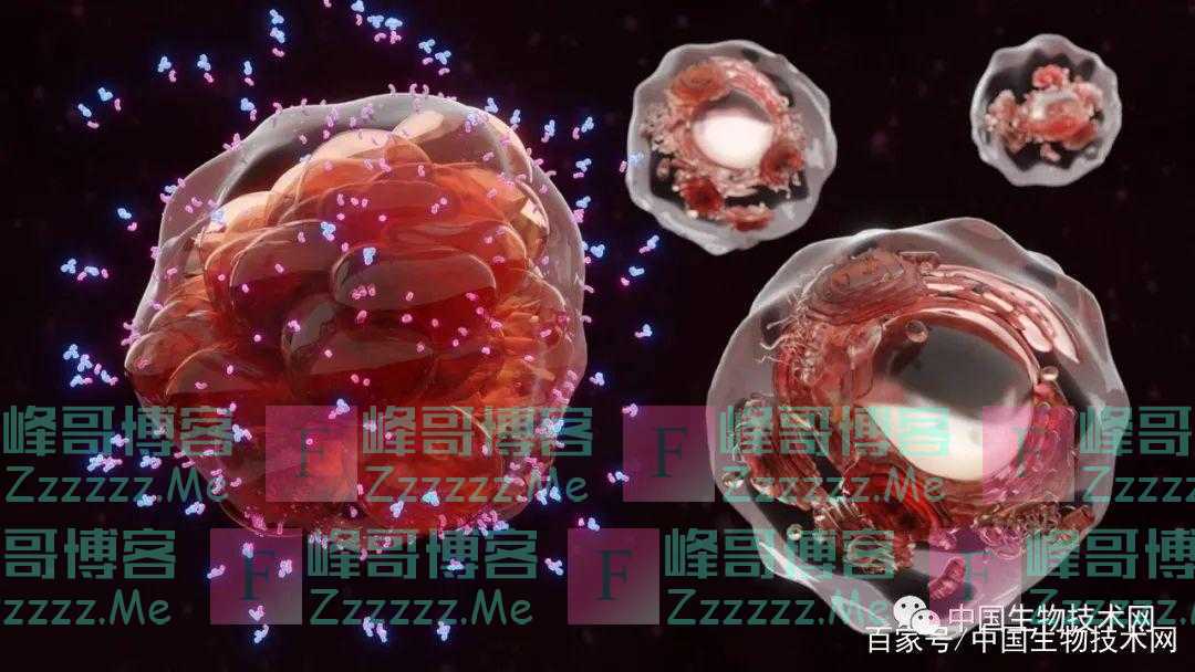 有生之年，我们体内有多少细胞会携带与癌症有关的基因突变？