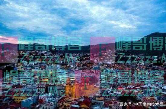 结束“与世隔绝”后，这个“零疫情”国家准备开始迎战奥密克戎