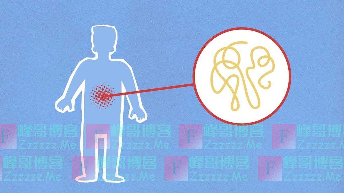 一年四季抗炎食物有哪些？春天适合多吃这些果蔬