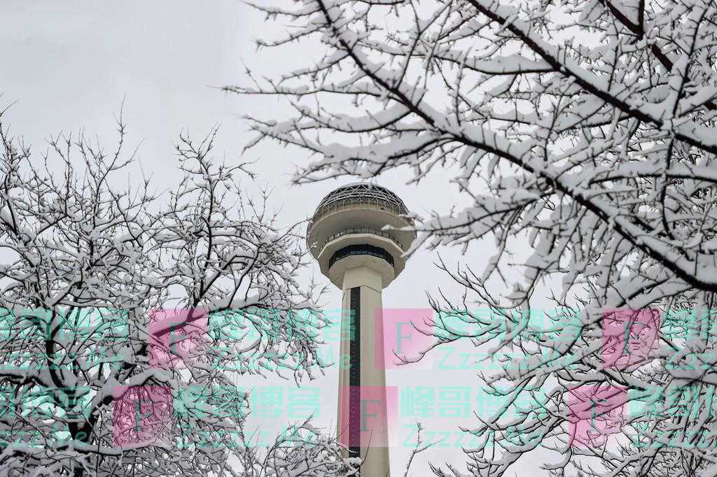 土耳其安卡拉迎来降雪 宛如白色仙境童话