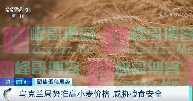 涨价40%！小麦价格创14年新高，多国面包涨价！联合国发出警告→