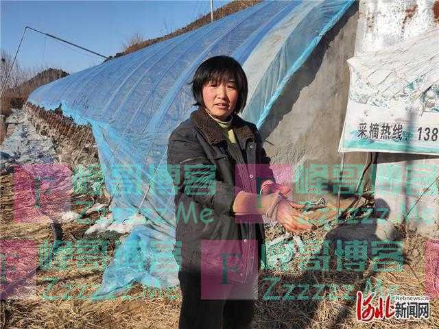 桃花树下,一家人的幸福生活