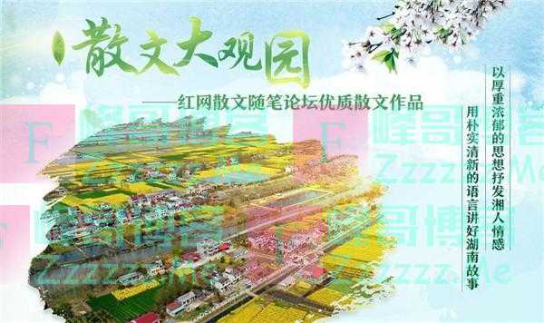 失败是成功之母？越接近成功，越需要小心