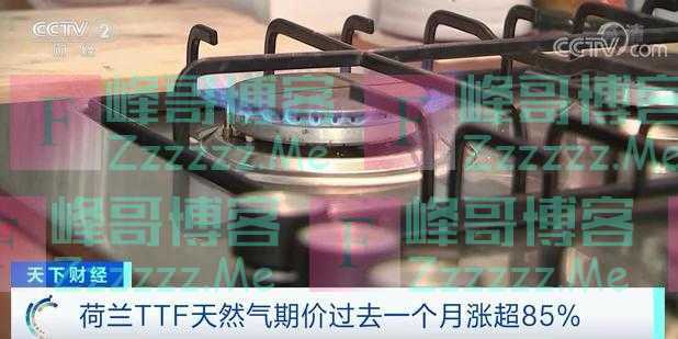 天然气涨价→化肥涨价→食品涨价