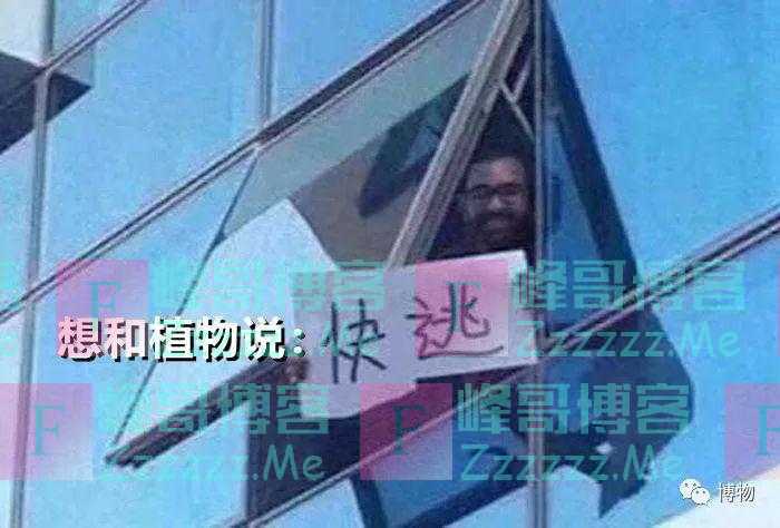 谁把它养死了请联系我，让我开开眼
