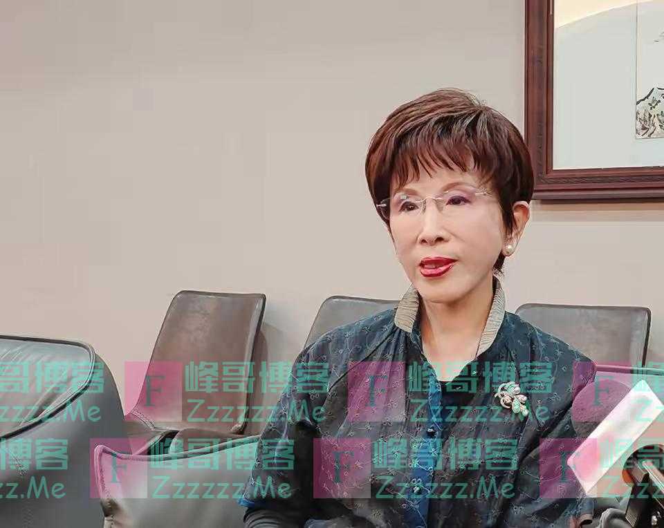 洪秀柱受外媒采访怒批：投蔡英文是“817万不用脑筋的人”
