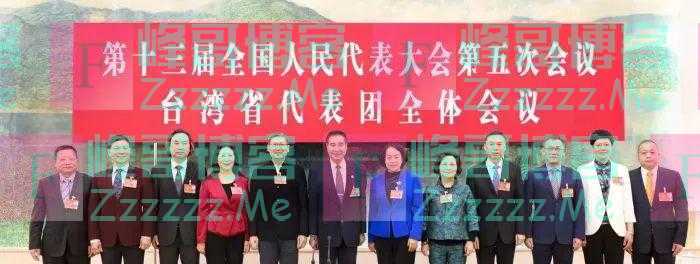 台湾省全国人大代表团“涉台建议”一键快速扫描