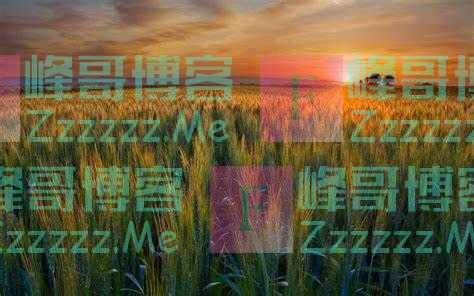 夜雨丨曾卓：七绝农夫梦（外一首）