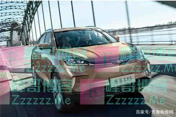威马汽车没上315，不是侥幸，而是应当