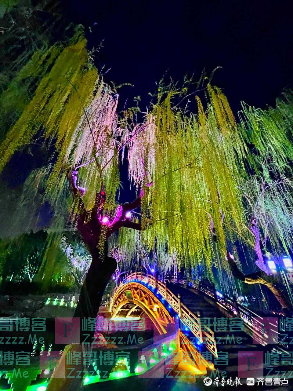 黑虎泉畔春意浓 窈窕垂柳拂夜灯