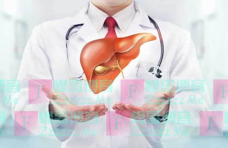 肝，我竟然对你“一无所知”