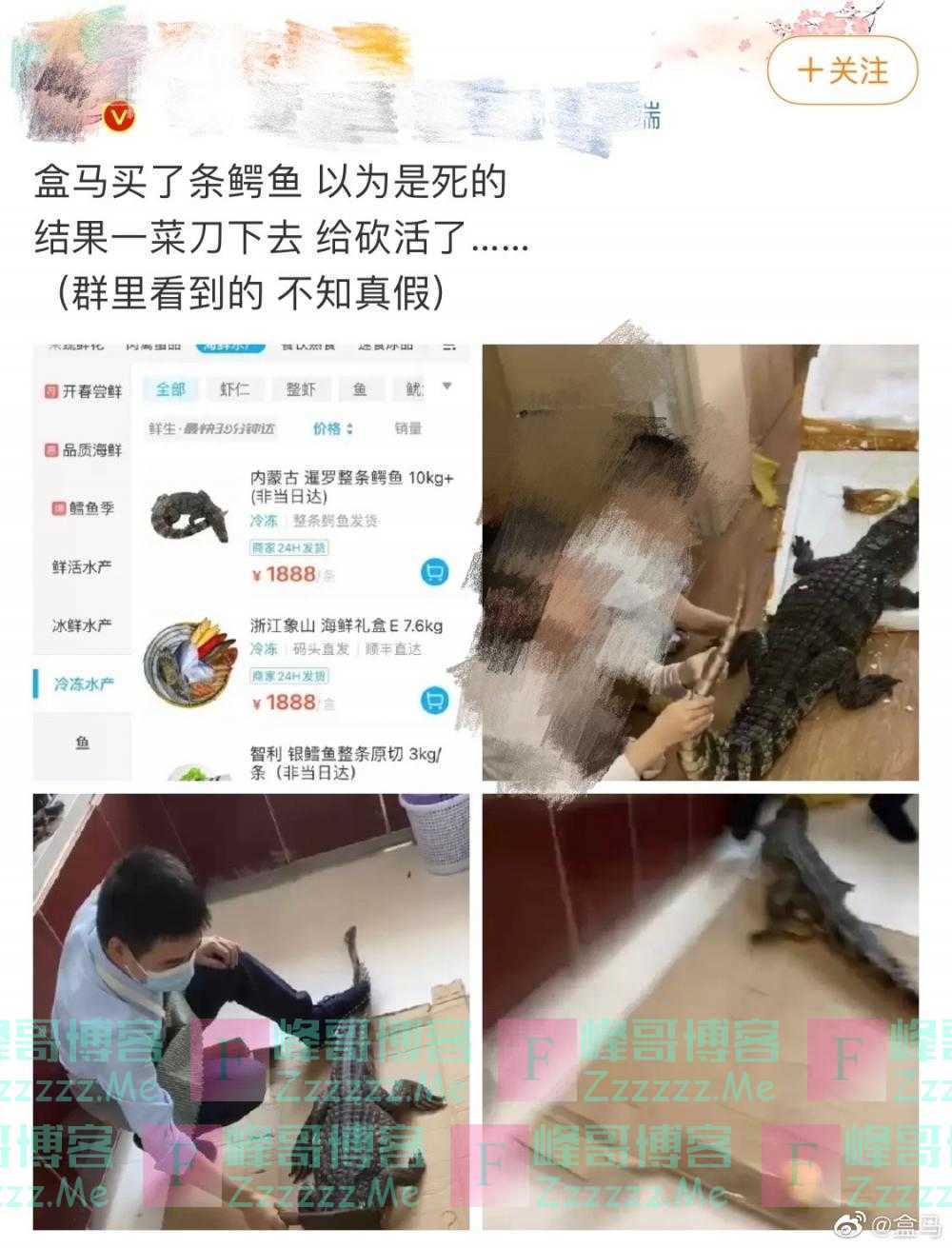 盒马所售鳄鱼复活？官方回应：发货前已去内脏，不存在复活可能