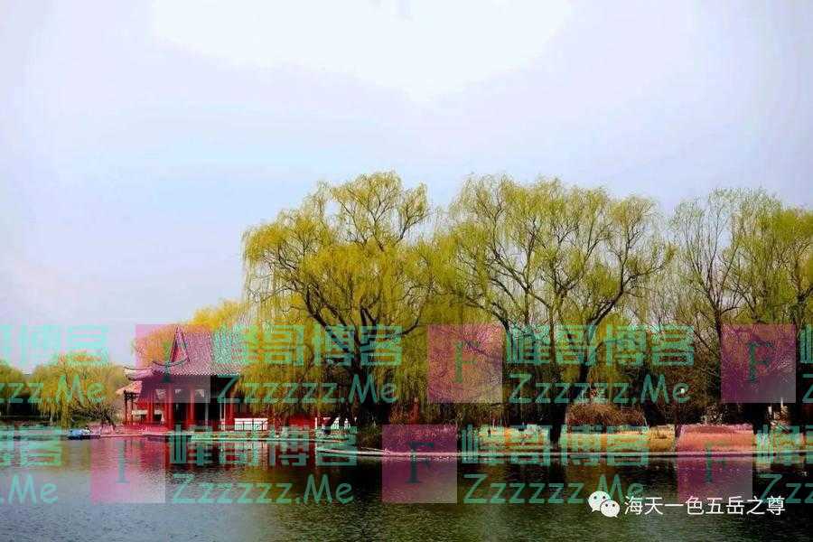 春分，百脉水暖鸭先知