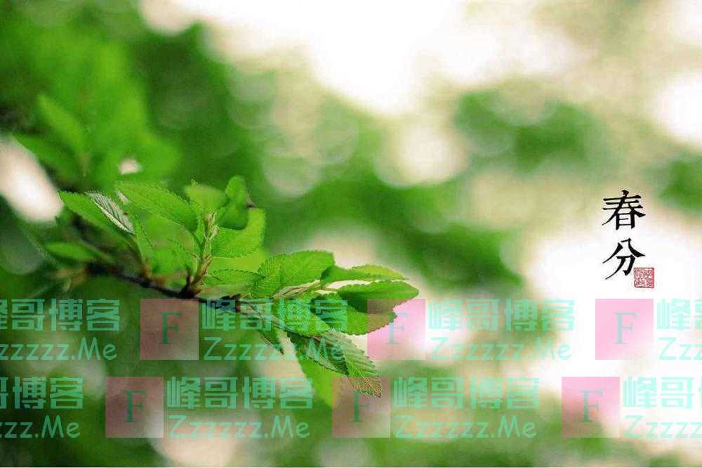 夜雨丨屿夫：带着我的锄头，你的好心肠