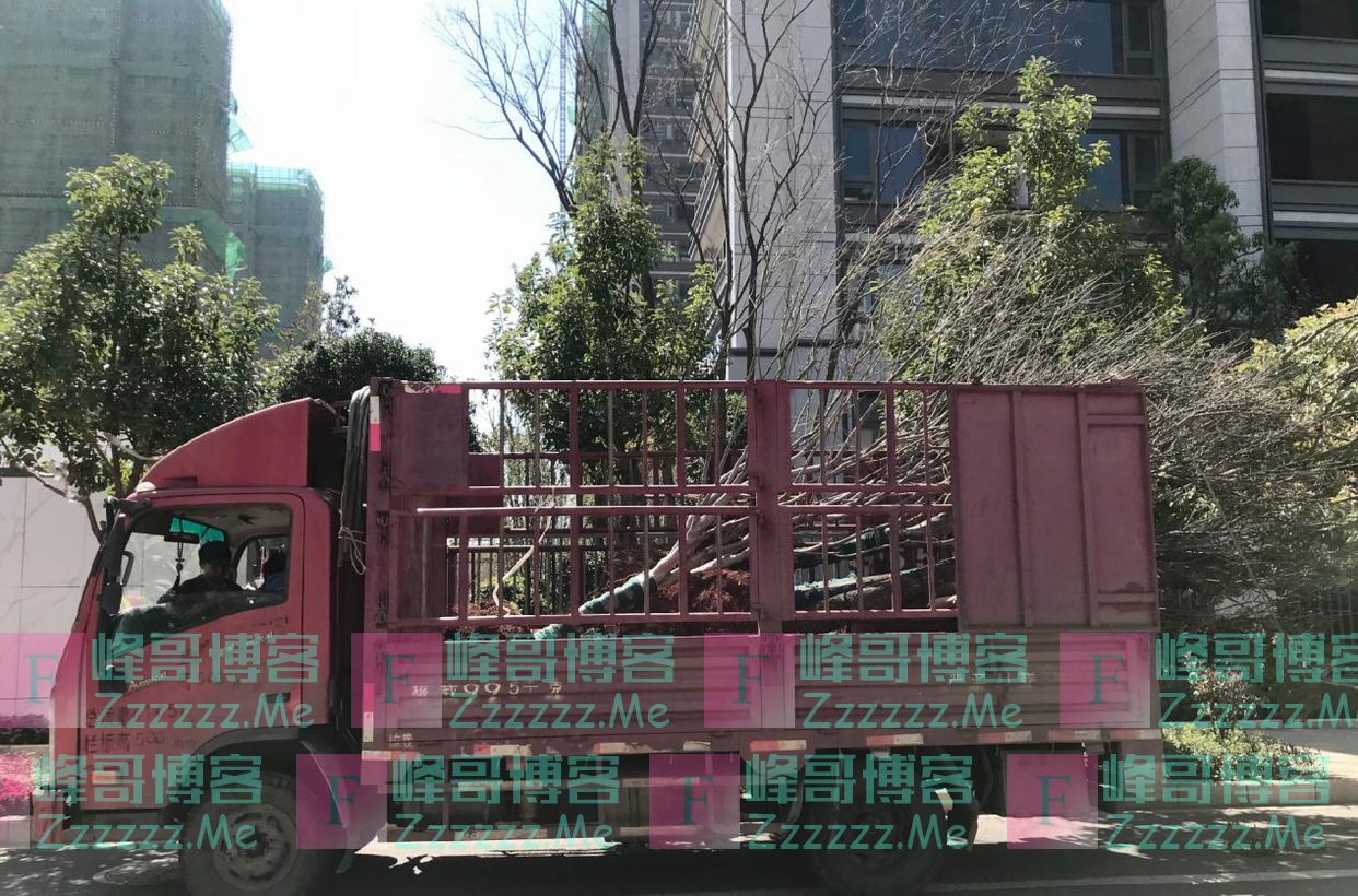 开货车的“绿巨人”，用团油省下买婚戒的钱