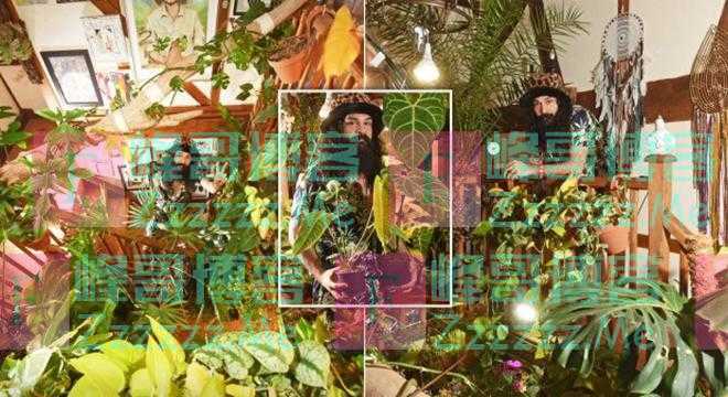 实现“绿植自由” 男子把自己家打造成室内丛林