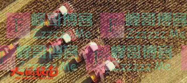 谁来养活中国？《大国粮仓》讲给你听