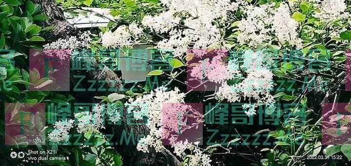 三月再见，四月你好