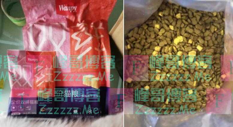 国产猫粮排行榜前十名的ta，安全放心猫猫爱吃
