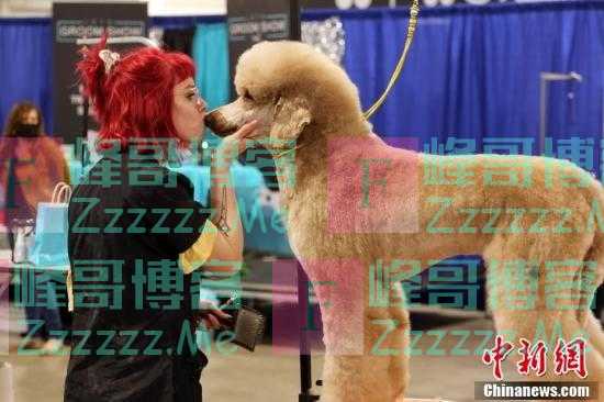 加拿大举行宠物博览会 “萌宠”大集合