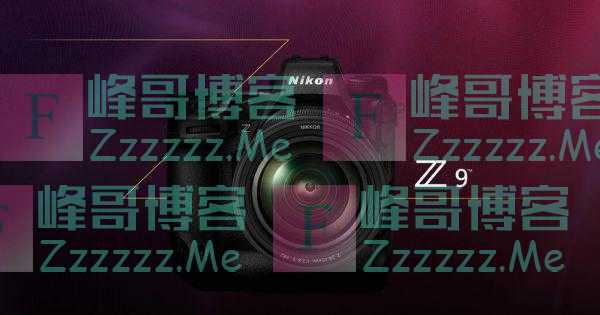 因智能手机低迷近10年：全球相机市场开始复苏