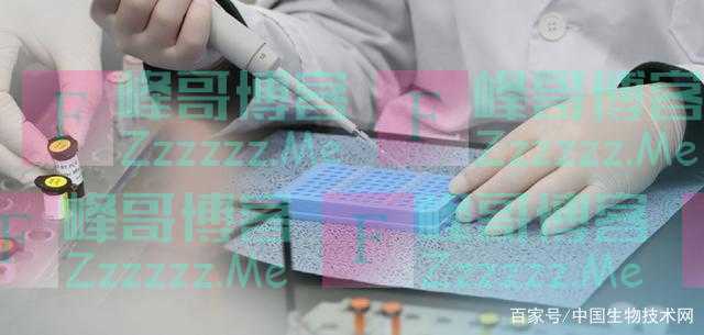 韩国、日本、爱尔兰……XE重组毒株正向全球多地蔓延