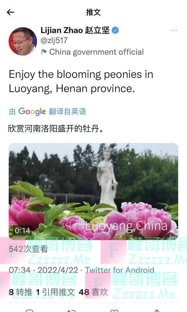 外交部发言人赵立坚再度向全球网友推介洛阳