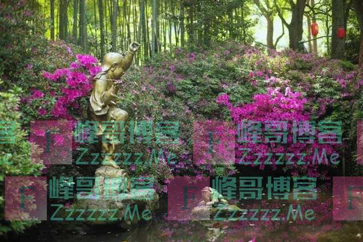 是“高华可爱的美木”没错了,杭州植物园粉嫩“网红楸”渐入佳境