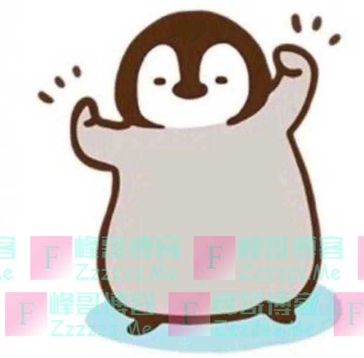 这家邮局正在招聘：给企鹅铲屎，月薪过万