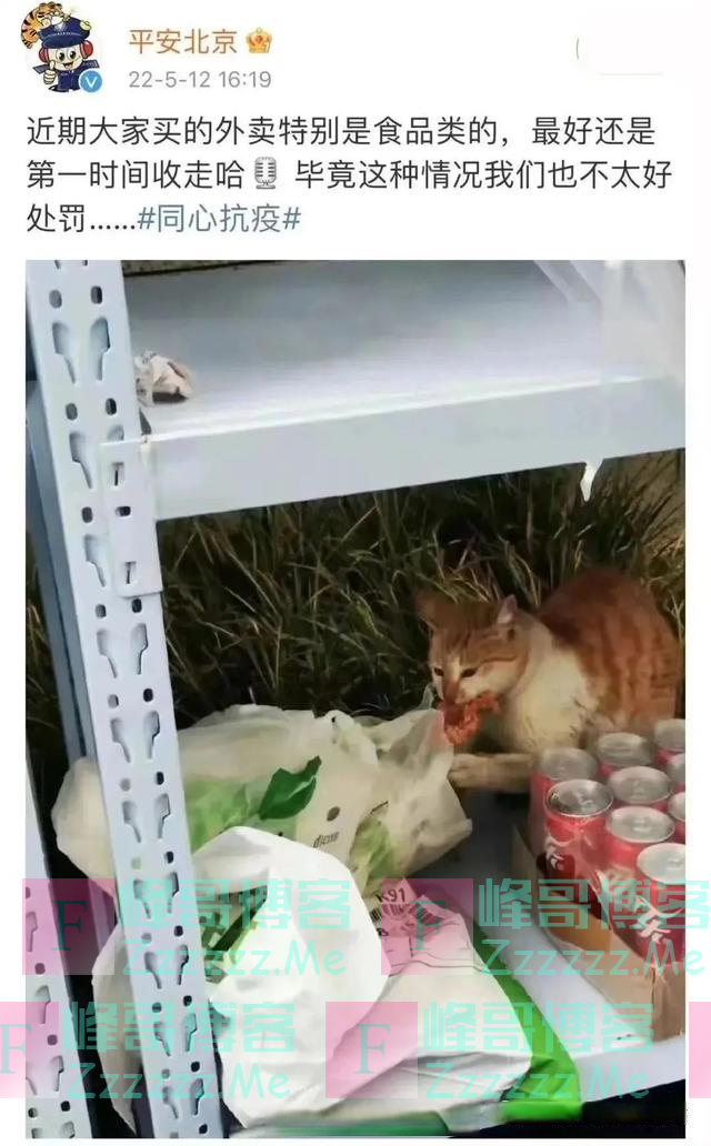 因疫情走红的“鸡排猫”被租客虐杀？当事人非“复旦教授”，警方介入↘