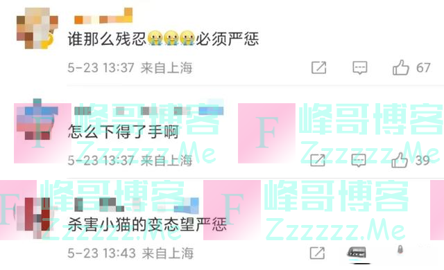 因疫情走红的“鸡排猫”被租客虐杀?当事人非“复旦教授”,警方介入↘