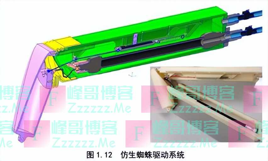 为了避免被“老婆”吃掉，这些公蜘蛛想出了各种神奇操作