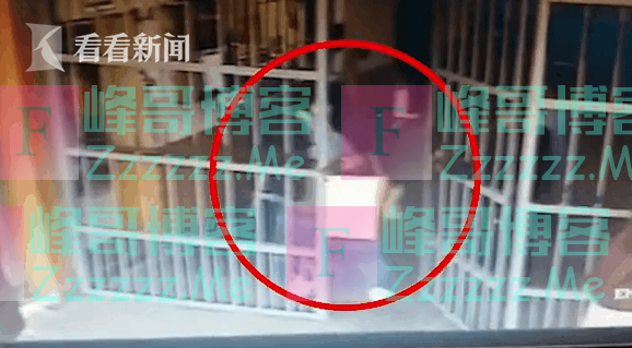 裙子假睫毛美甲片!男扮女装太美 大毒枭成功越狱