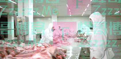 国外赞了60年的“中国午餐肉”,很多国人竟没吃过