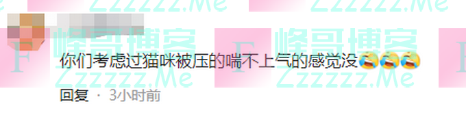 宝宝哭闹不止,家长把娃枕在猫咪背上竟秒入睡,猫咪的表情亮了!