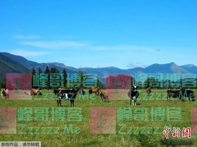 牛羊打嗝也要征税，你咋不…