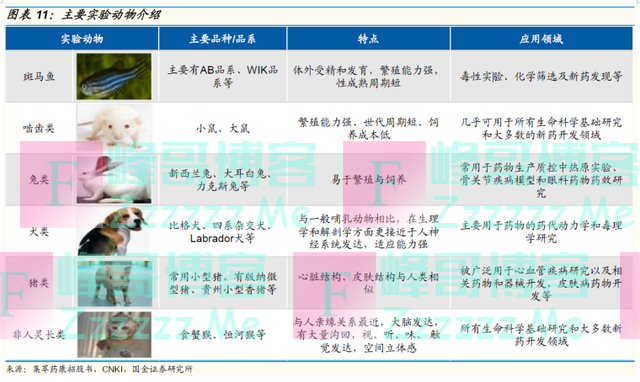 有价无猴!试验猴4年涨10倍,一只卖到16万元,药价会跟着涨吗?