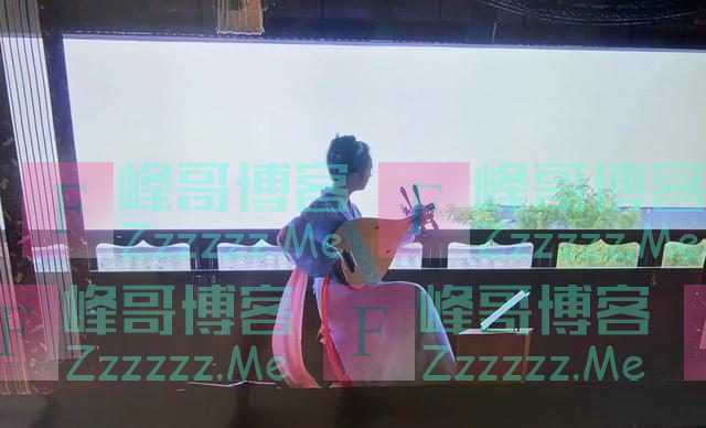 琵琶横放还是竖弹、宋代女商人多不多?历史学者给《梦华录》打分