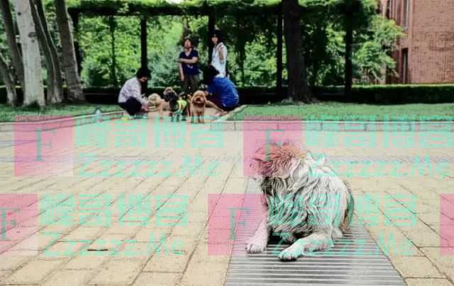 能够唤醒学生的25张图，老师家长一定转给孩子看