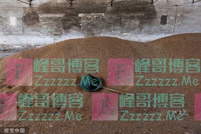 为将2000万吨粮食运走，美国出了一招，乌方：只是可行举措之一