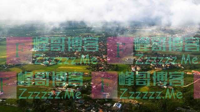 欧盟想了这个招应对能源危机……