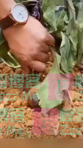 农产品还能这样卖？“我被焊在了新东方直播间……”