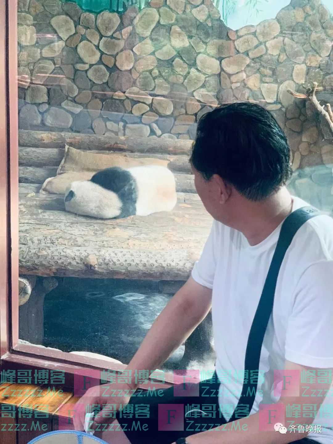 男人成为父亲以后就会长大吗？这24种爸爸，你家的是哪一款